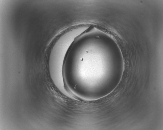 X0000070191256200606091523