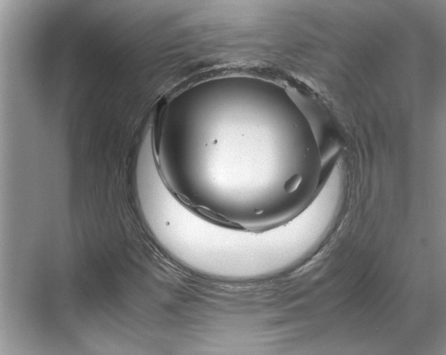 X0000070191257200606091523