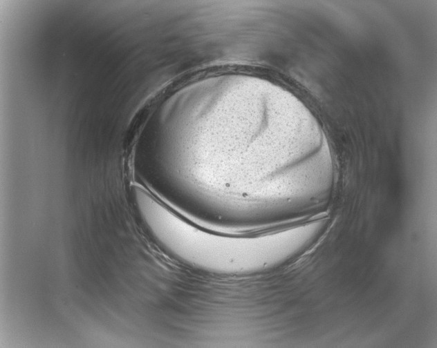 X0000070191258200606091523