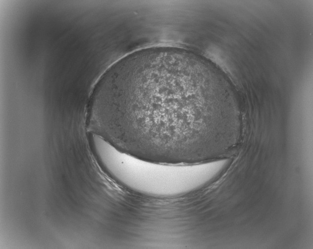 X0000070191260200606091523