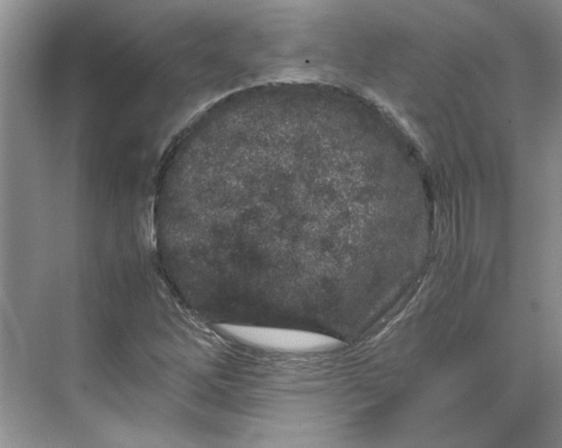 X0000070191262200606091523