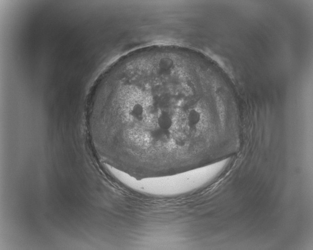 X0000070191263200606091523