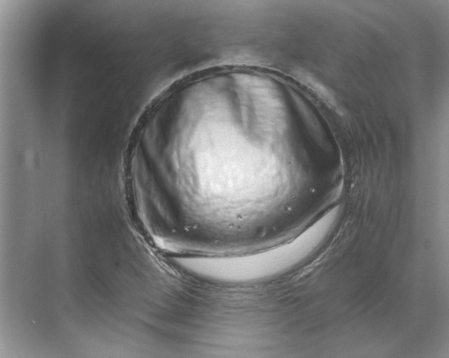 X0000070191264200606091523