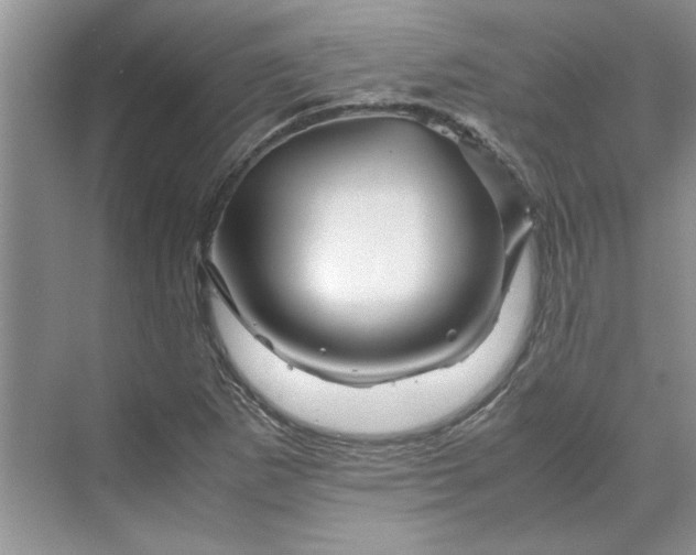 X0000070191265200606091523