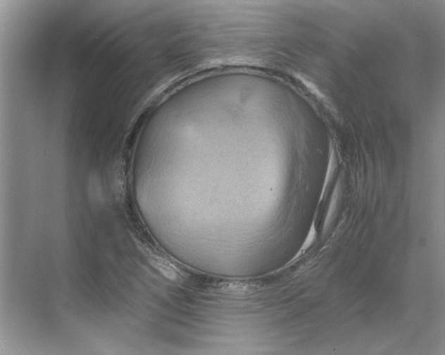 X0000070191266200606091523