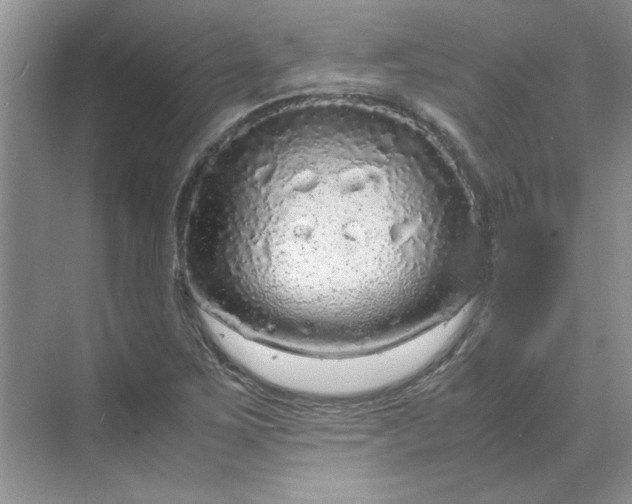 X0000070191267200606091523