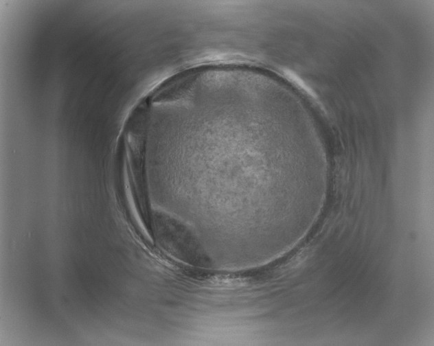 X0000070191269200606091523