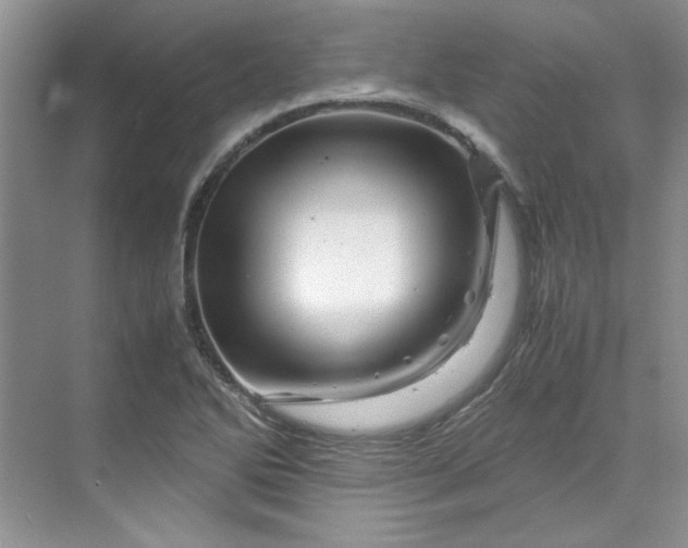 X0000070191270200606091523