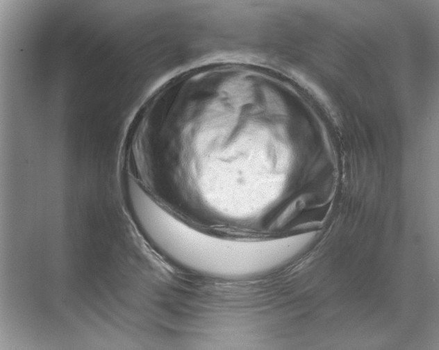 X0000070191272200606091523