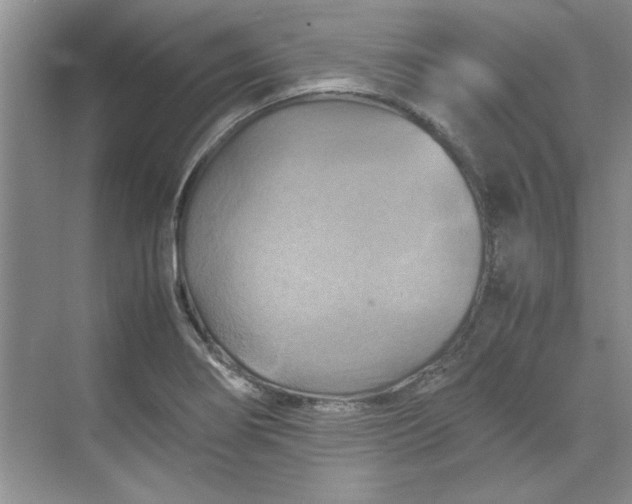 X0000070191274200606091523