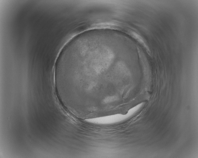 X0000070191275200606091523