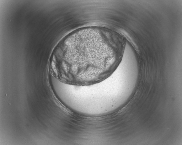 X0000070191276200606091523