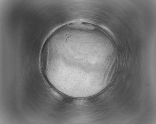 X0000070191278200606091523