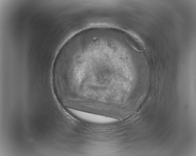 X0000070191279200606091523