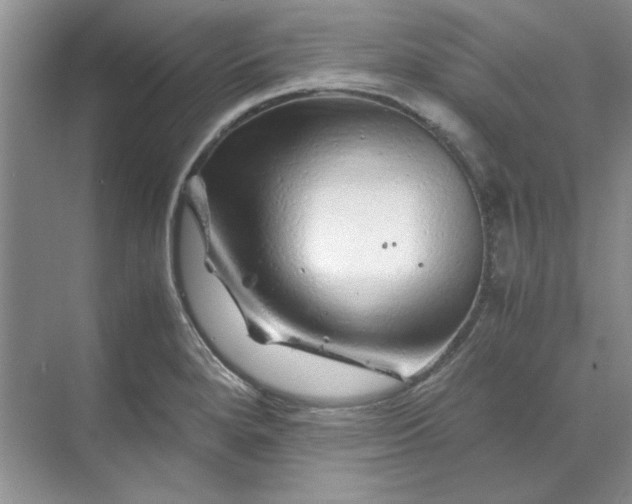 X0000070191280200606091523