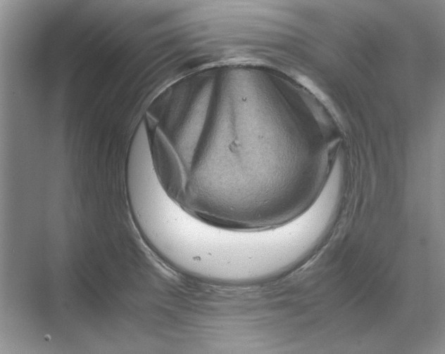 X0000070191281200606091523