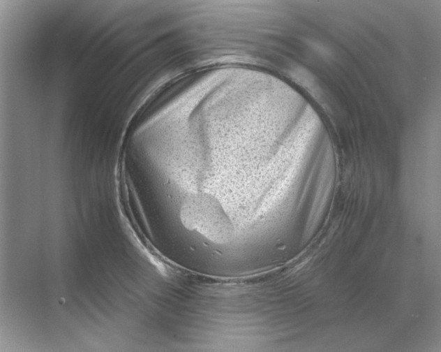 X0000070191282200606091523