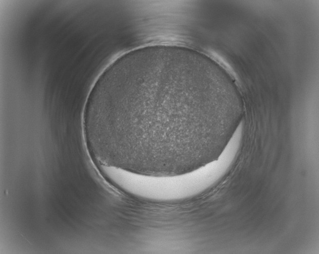 X0000070191283200606091523