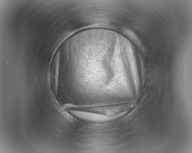 X0000070191284200606091523