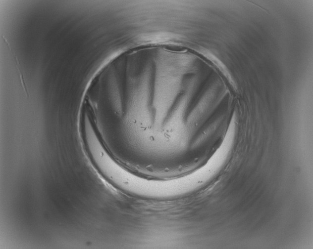 X0000070191285200606091523