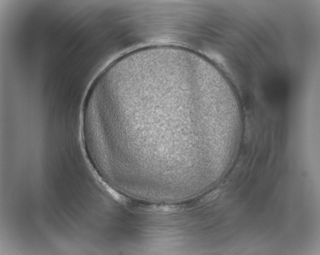 X0000070191286200606091523