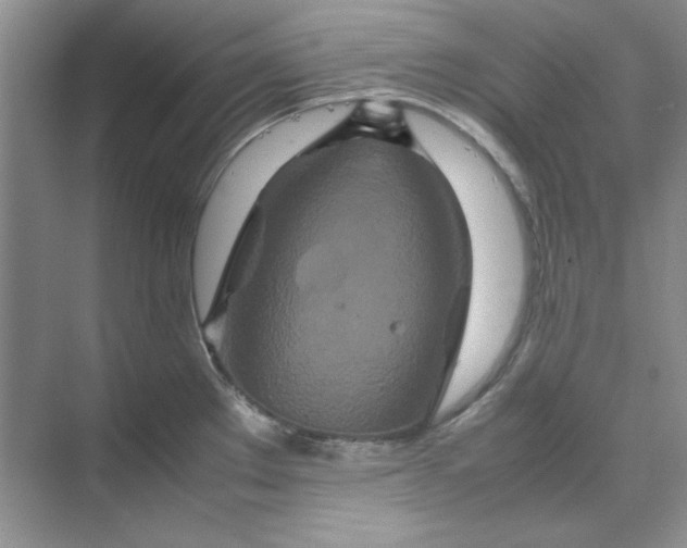 X0000070191289200606091523