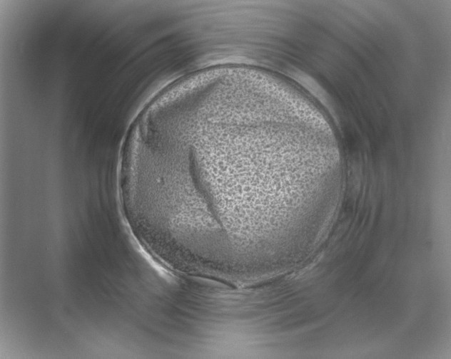 X0000070191290200606091523