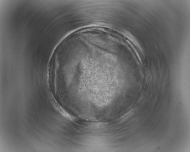 X0000070191292200606091523