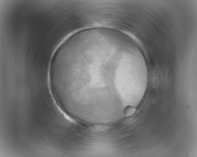 X0000070191294200606091523