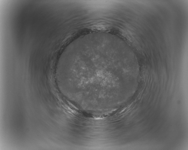 X0000070191297200606091522