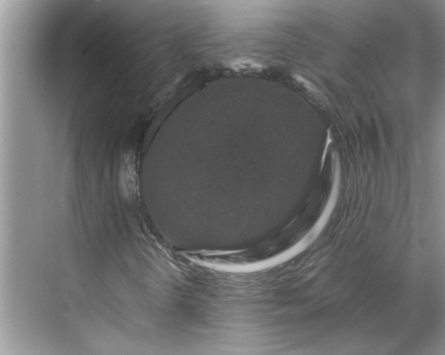 X0000070191298200606091522