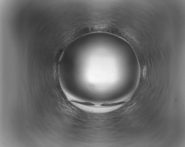 X0000070191299200606091522