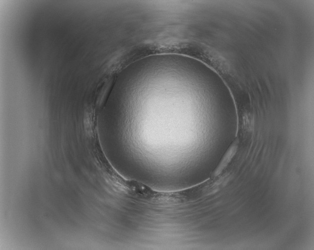 X0000070191300200606091522