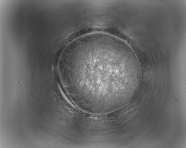 X0000070191301200606091522