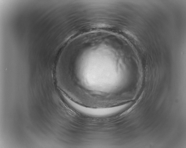 X0000070191305200606091522