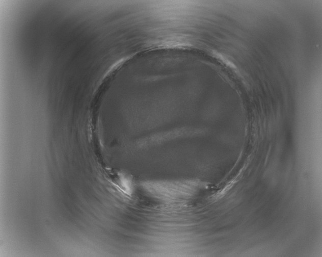 X0000070191306200606091522