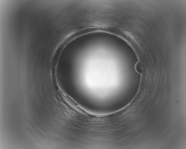 X0000070191307200606091522