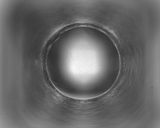 X0000070191311200606091522