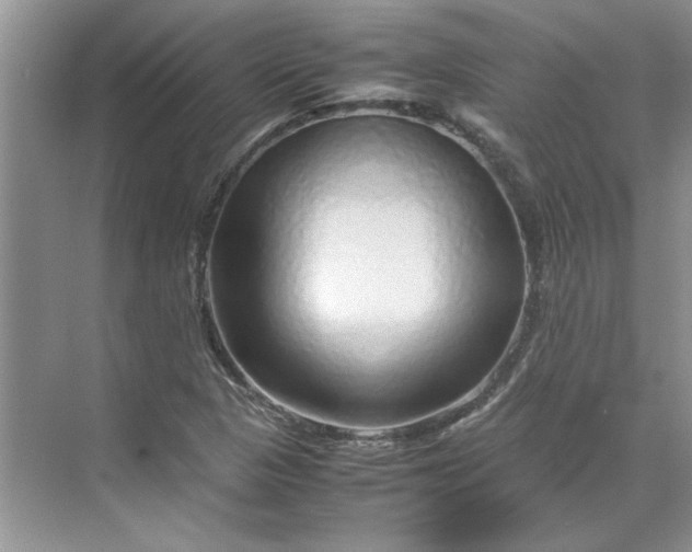 X0000070191313200606091522