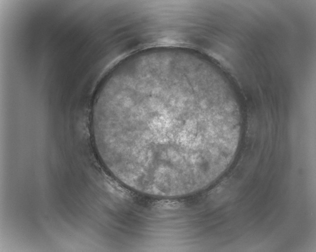 X0000070191314200606091522