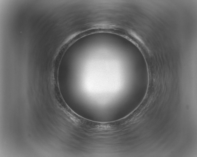 X0000070191315200606091522