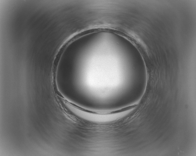 X0000070191316200606091522