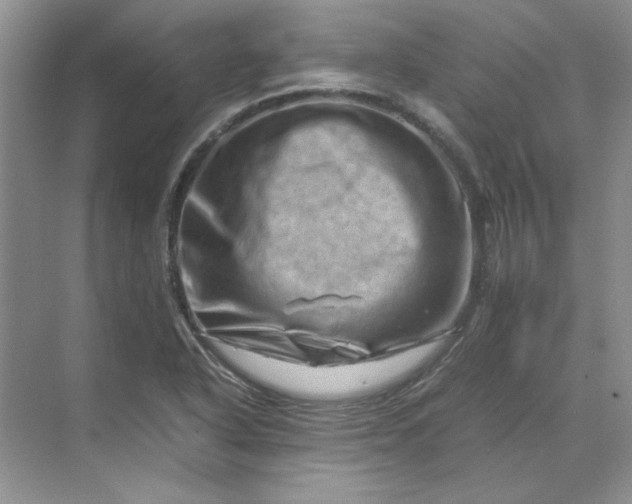 X0000070191318200606091522