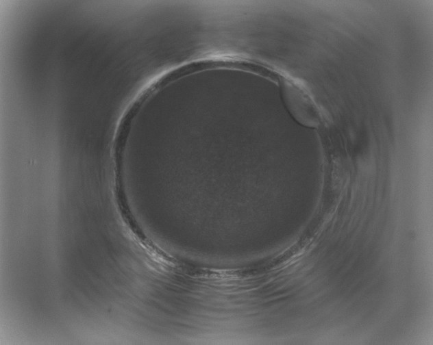 X0000070191319200606091522