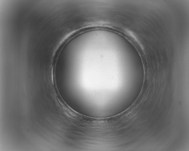 X0000070191320200606091522