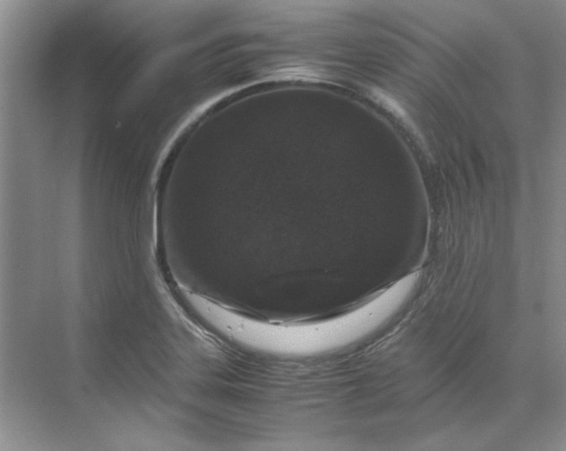 X0000070191323200606091522