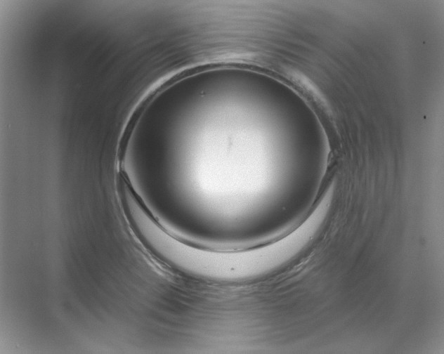 X0000070191324200606091522