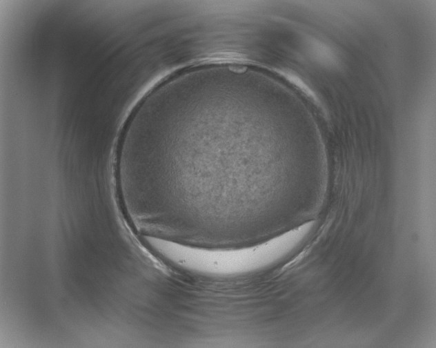 X0000070191325200606091522