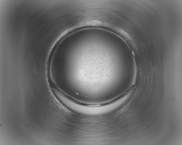 X0000070191326200606091522