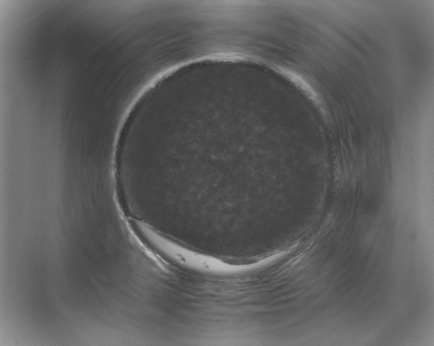 X0000070191327200606091522